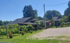 Very nice place. - Review of Buccia Vineyards Winery and B & B, Conneaut, OH - Tripadvisor