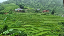 Wonderful service and very pleasant stay in Mega view homestay. - Review of Mega View Homestay, Sapa, Vietnam - Tripadvisor... 