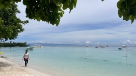 Nice. - Review of Modala Beach Resort, Panglao, Philippines - Tripadvisor