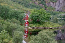 A forest cabin in Svolvaer, great base for travels in Lofoten - Review of Lofoten Feriesenter, Svolvaer, Norway - Tripadvisor