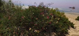 Port Gregory is a yes from us. - Review of Port Gregory Caravan Park, Gregory, Australia - Tripadvisor