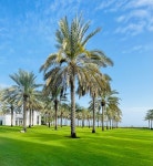 Sumptuous serenity - Review of The Chedi Muscat, Muscat, Oman - Tripadvisor