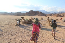 2026 Tour in Hurghada Arabian Night and Star Watching - with Trusted Reviews