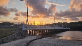 Excellent Hosts - Review of Tallebudgera Creek Tourist Park, Palm Beach, Australia - Tripadvisor