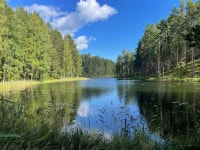 Wonderfully peaceful - Review of Holiday Resort Harjun Portti, Punkaharju, Finland - Tripadvisor