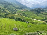What a wonderful stay - Review of Mu Cang Chai Ecolodge, Mu Cang Chai, Vietnam - Tripadvisor