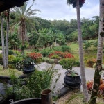 더보타니아 | Unforgettable and wonderful - Review of Lakaz Chamarel Exclusive Lodge, Chamarel, Mauritius - Tripadvisor Unforgettable and...