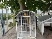 Very cool place! - Review of Ibis Bay Beach Resort, Key West, FL - Tripadvisor