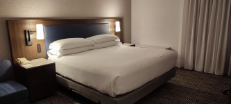 Great hotel, fabulous breakfast but please do something about the chaos at breakfast time - Review of Hotel Riu Plaza... 