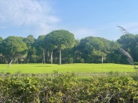 You must visit! - Review of Cornelia Diamond Golf Resort & Spa, Belek, Turkiye - Tripadvisor