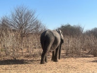 Stunning , Amazing , gorgeous 🎉🎉🎉 - Review of Chobe Game Lodge, Chobe National Park, Botswana - Tripadvisor Stunning... 