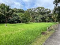 Calm stay in a natural environment - Review of Koh Yao Yai Village, Ko Yao Yai, Thailand - Tripadvisor
