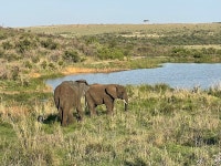 Excellent stay for any family with kids, young and old. - Review of Ndaka Safari Lodge, Ladysmith, South Africa - Tripadvisor
