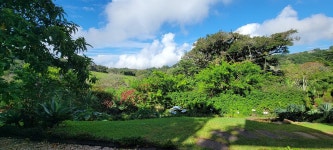Beautiful grounds - Review of Hotel & Spa Poco a Poco Costa Rica, Santa Elena, Costa Rica - Tripadvisor
