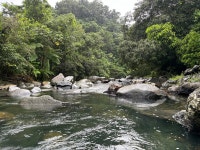 Exacto - Review of Casa Alternavida, Rio Grande, Puerto Rico - Tripadvisor