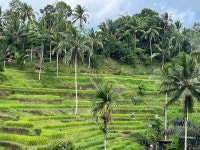 A sanctuary from the craziness of Bali! - Review of Kamandalu Ubud, Ubud, Indonesia - Tripadvisor