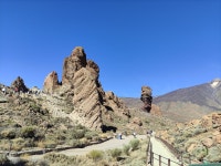 Fabulous Holiday - Review of Best Tenerife, Playa de las Americas, Spain - Tripadvisor Fabulous Holiday  - Review of Best... 