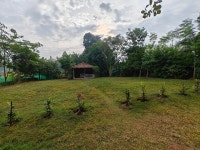 Delightful eco resort in Muruguma - Review of Bon Polashi Eco Hut, Baradi, India - Tripadvisor