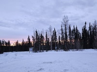 Northern Lights ✔️ - Review of Borealis Basecamp, Fairbanks, AK - Tripadvisor