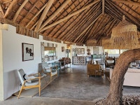 what a great finish to a special trip - Review of Kafunta River Lodge, South Luangwa National Park, Zambia - Tripadvisor