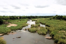 Fantastische Zugsuite mit Blick über den Fluss /Amazing train suite with view - Review of Kruger Shalati - The Train on the... 