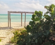 Nice experience - Review of Starfish Cayo Guillermo, Cayo Guillermo, Jardines del Rey Archipelago - Tripadvisor Nice experience... 