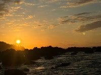 Little perfect gem - Review of Copa De Arbol Beach & Rainforest Resort, Drake Bay, Costa Rica - Tripadvisor