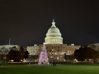 2025 NOVA Private Custom Wine Tours & Tasting from DMV (Washington DC) - with Trusted Reviews