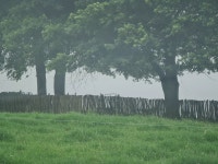 Amazing stay on the farm - Review of Springvale Farm Cottages, Howick, South Africa - Tripadvisor Amazing stay on the farm... 