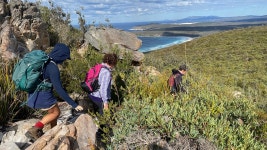 Reviews: Guided Walks on the Cape to Cape - Redgate Beach to Boranup Forest provided by Edgewalkers - Tripadvisor