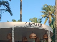 Good resort - Review of Estuary Sarovar Portico, Poovar, India - Tripadvisor
