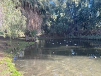 A nice family resort - Review of Marriotts Shadow Ridge I-the Villages, Palm Desert, CA - Tripadvisor