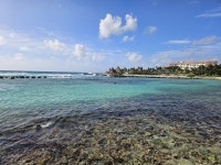 Wonderful Holiday - Review of Catalonia Riviera Maya, Puerto Aventuras, Mexico - Tripadvisor