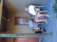 The place to be - Review of Thabile Lodge, Oudtshoorn, South Africa - Tripadvisor The place to be  - Review of Thabile Lodge... 