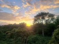 Negril stole my heart - Review of Hotel Riu Negril, Orange Bay, Jamaica - Tripadvisor