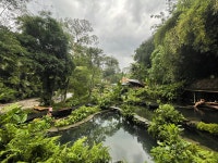Holiday in Bambu Indah - Review of Bambu Indah Resort, Ubud, Indonesia - Tripadvisor