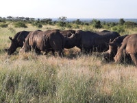 Stay at Umkumbe - you wont be sorry - Review of Umkumbe Safari Lodge, Sabi Sand Game Reserve, South Africa - Tripadvisor