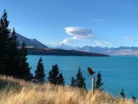 Unique experience - Review of Mt Cook Lakeside Retreat, Pukaki, New Zealand - Tripadvisor