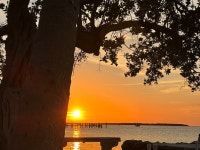 Wonderful calm and charmung place - Review of La Jolla Resort, Islamorada, FL - Tripadvisor
