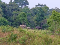 We love it! - Review of Khaoyai Nature Life & Tours, Nong Nam Daeng, Thailand - Tripadvisor