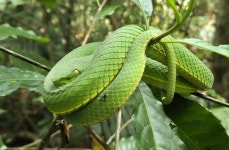 We love it! - Review of Khaoyai Nature Life & Tours, Nong Nam Daeng, Thailand - Tripadvisor