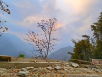 Memorable stay - Review of The Barfung Retreat, Ravangla, India - Tripadvisor