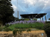 A wonderful stay we’ll never forget - Review of Tenuta Il Corno, San Casciano in Val di Pesa, Italy - Tripadvisor