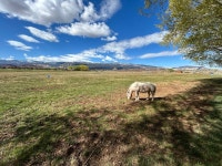 Best stay on our Mighty 5 road trip - Review of Wonderland RV Park, Torrey, UT - Tripadvisor