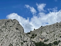 Hotel Plaza Duće, Croatia. - Review of Hotel Plaza Duce, Duce, Croatia - Tripadvisor