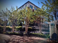 All around excellent!! - Review of Club Wyndham Old Town Alexandria, Alexandria, VA - Tripadvisor