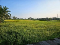 친정부모님 동생 우리 가족 모두 만족했던 풀빌라 - K Club Ubud, Kedisan, 인도네시아의 리뷰 - 트립어드바이저