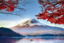 2024 Day Mt Fuji Private Tour English speaking driver