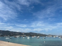 Good cheap holiday - Review of AluaSun Torrenova, Palmanova, Spain - Tripadvisor