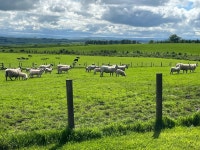 Peace & Tranquility!! - Review of Sycamore Cottage & Glamping Pods, Birtley, England - Tripadvisor
